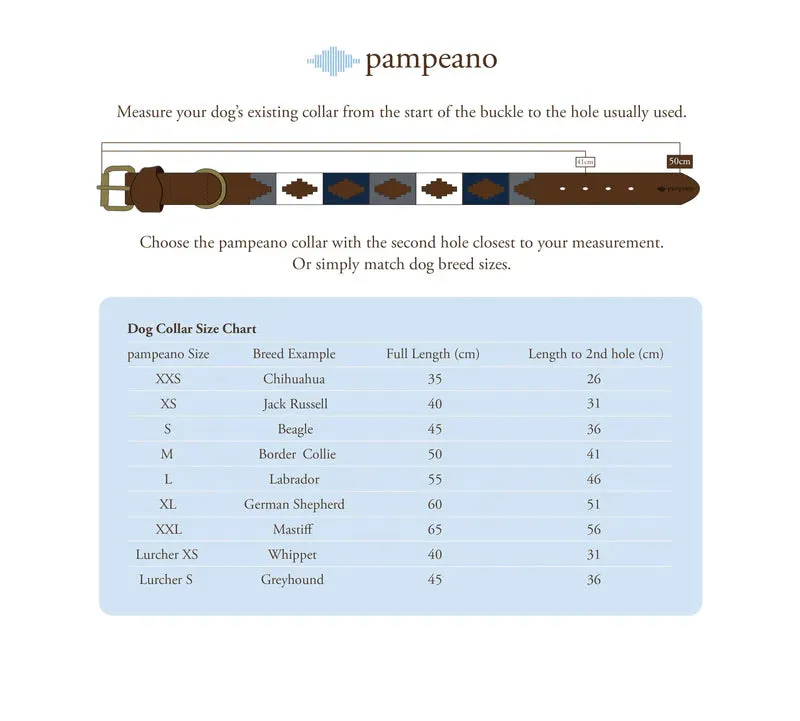 Adult Pampeano Belt - Azules'