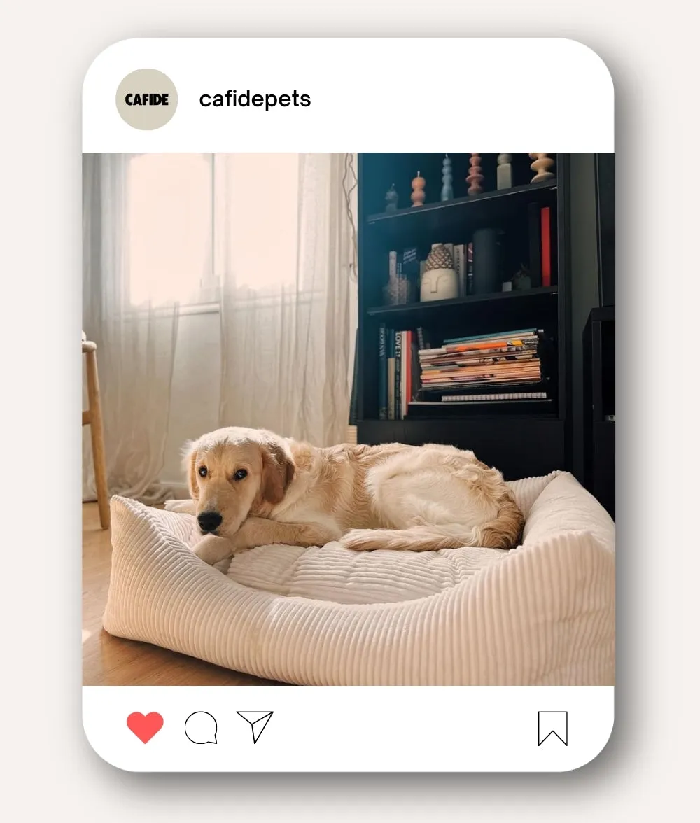 Cama Perro Pana Blanco Hueso, Snozy