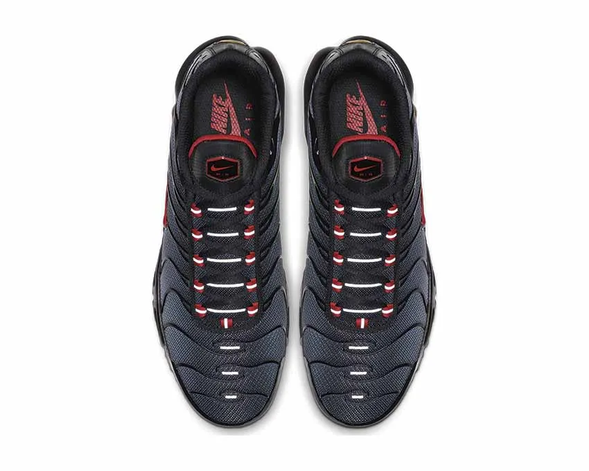 Nike Air Max Plus Negras